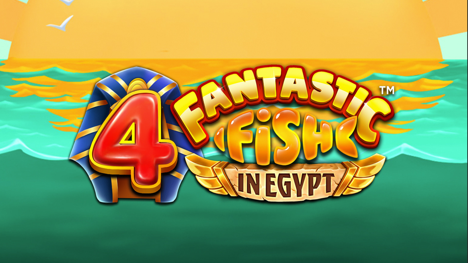 4 Fantastic Fish in Egypt