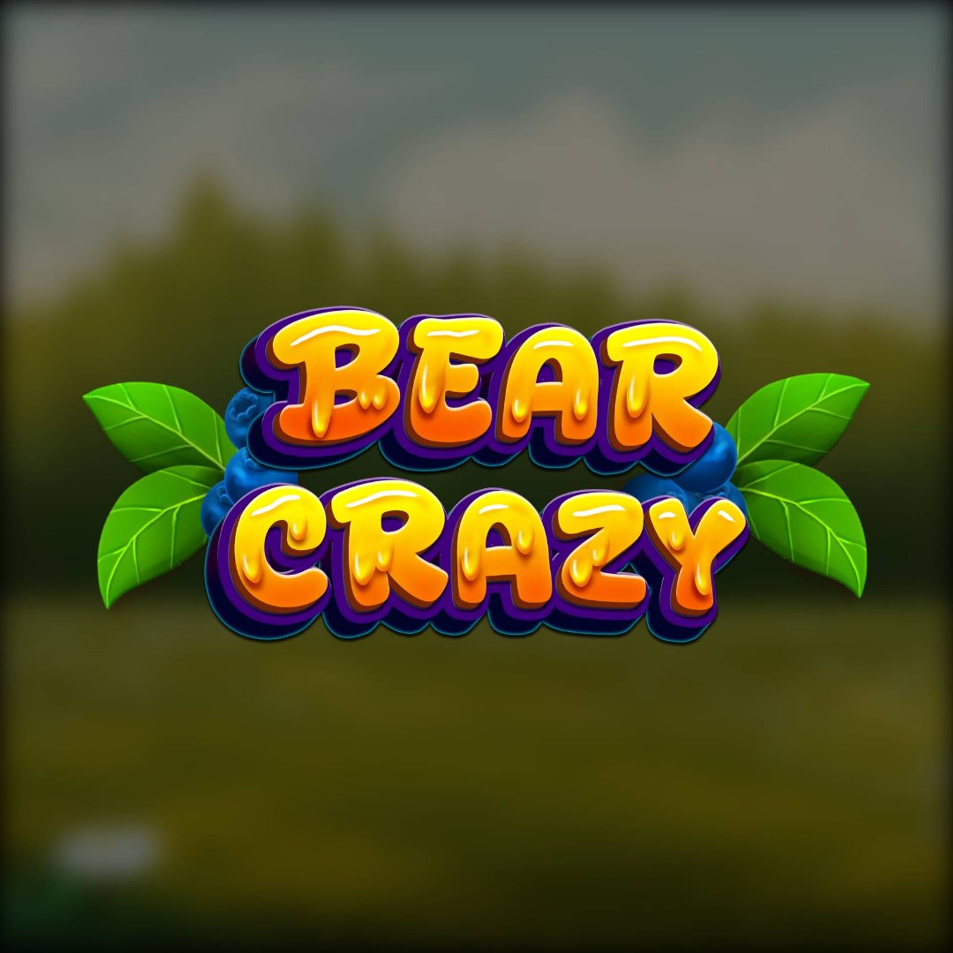 Bear Crazy