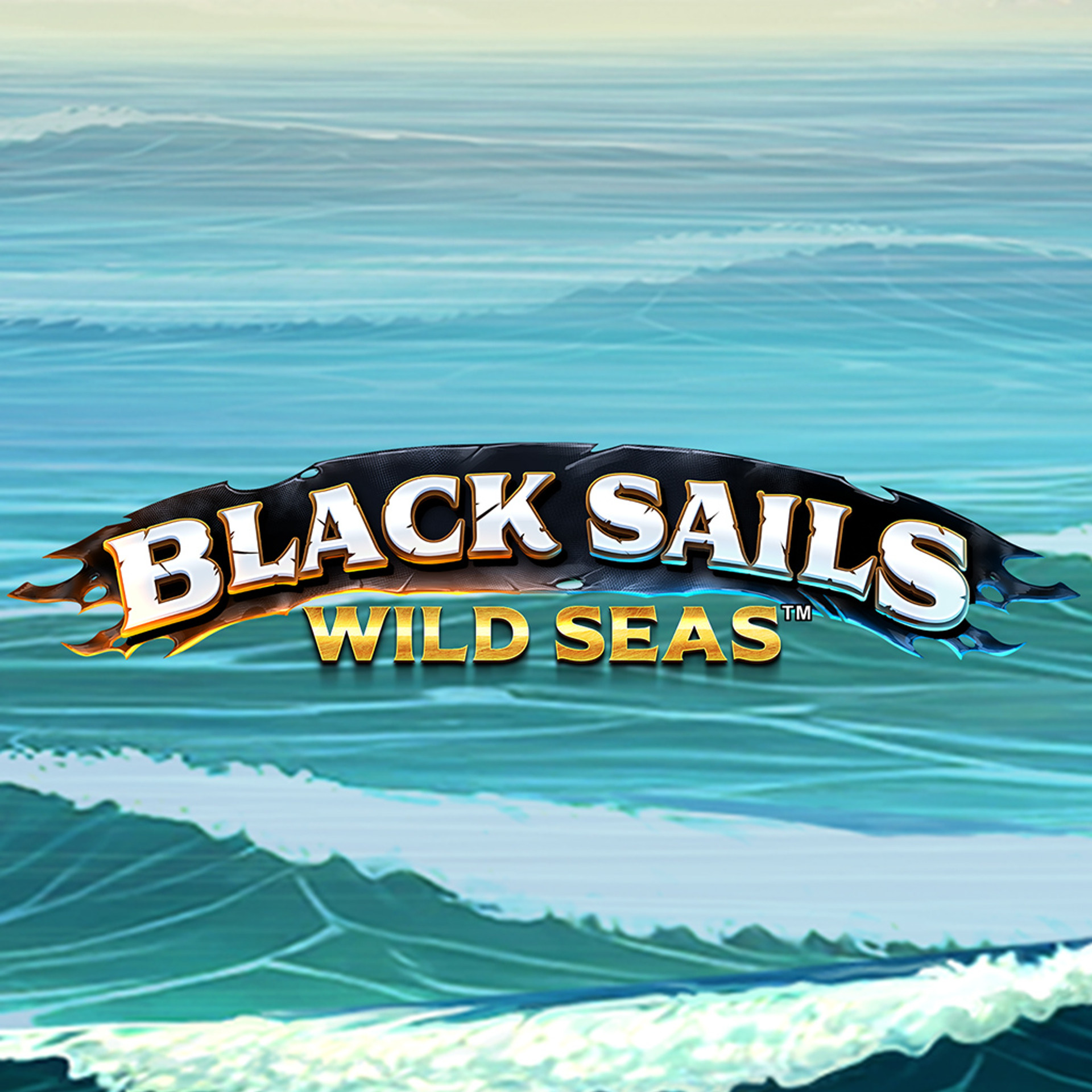 Black Sails Wild Seas