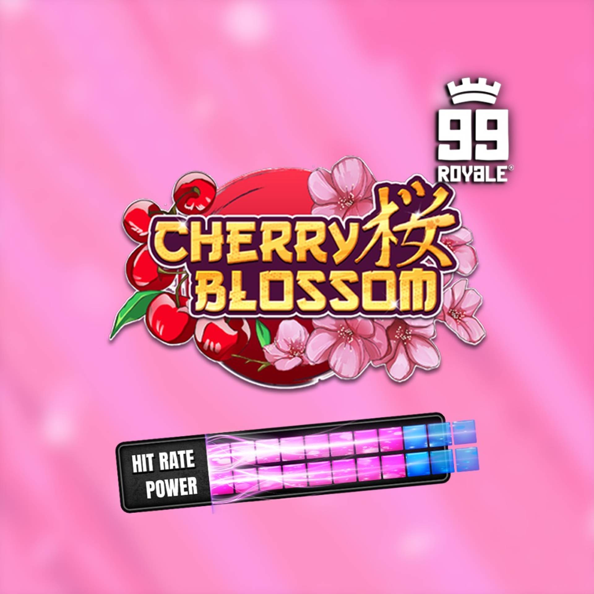 Cherry Blossom