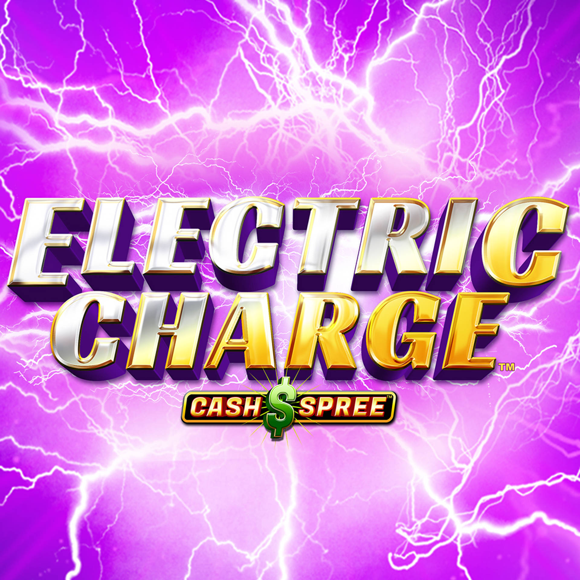 Electric Charge