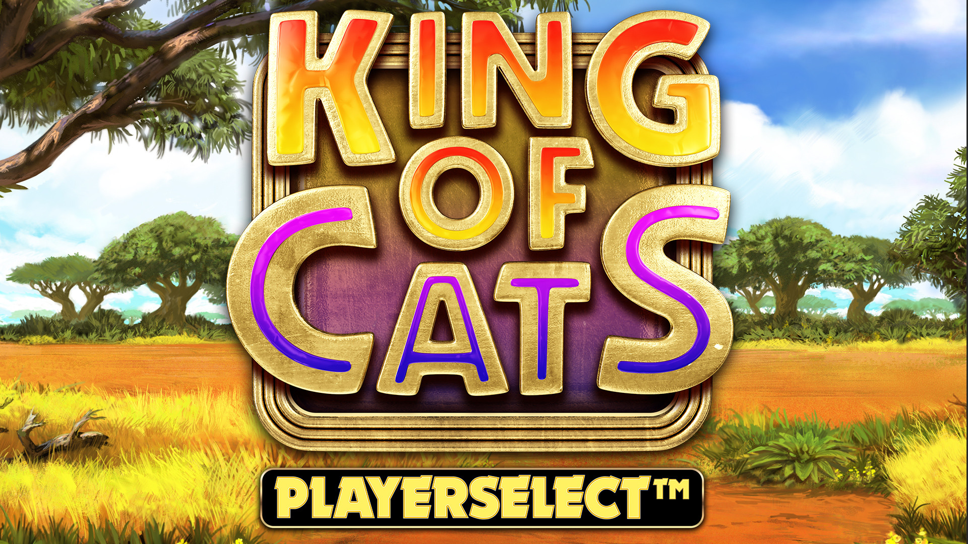 King of Cats PLAYERSELECT