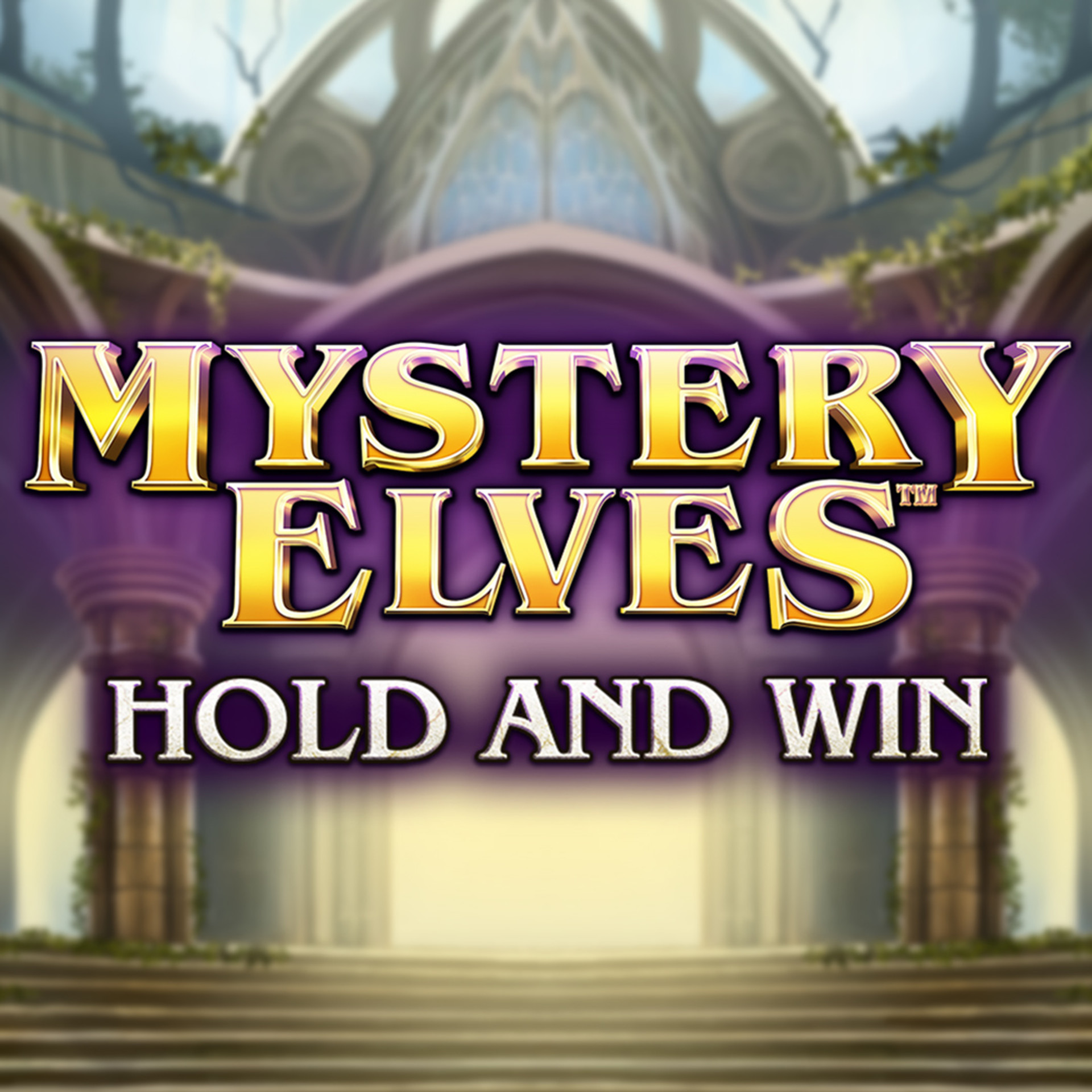 Mystery Elves