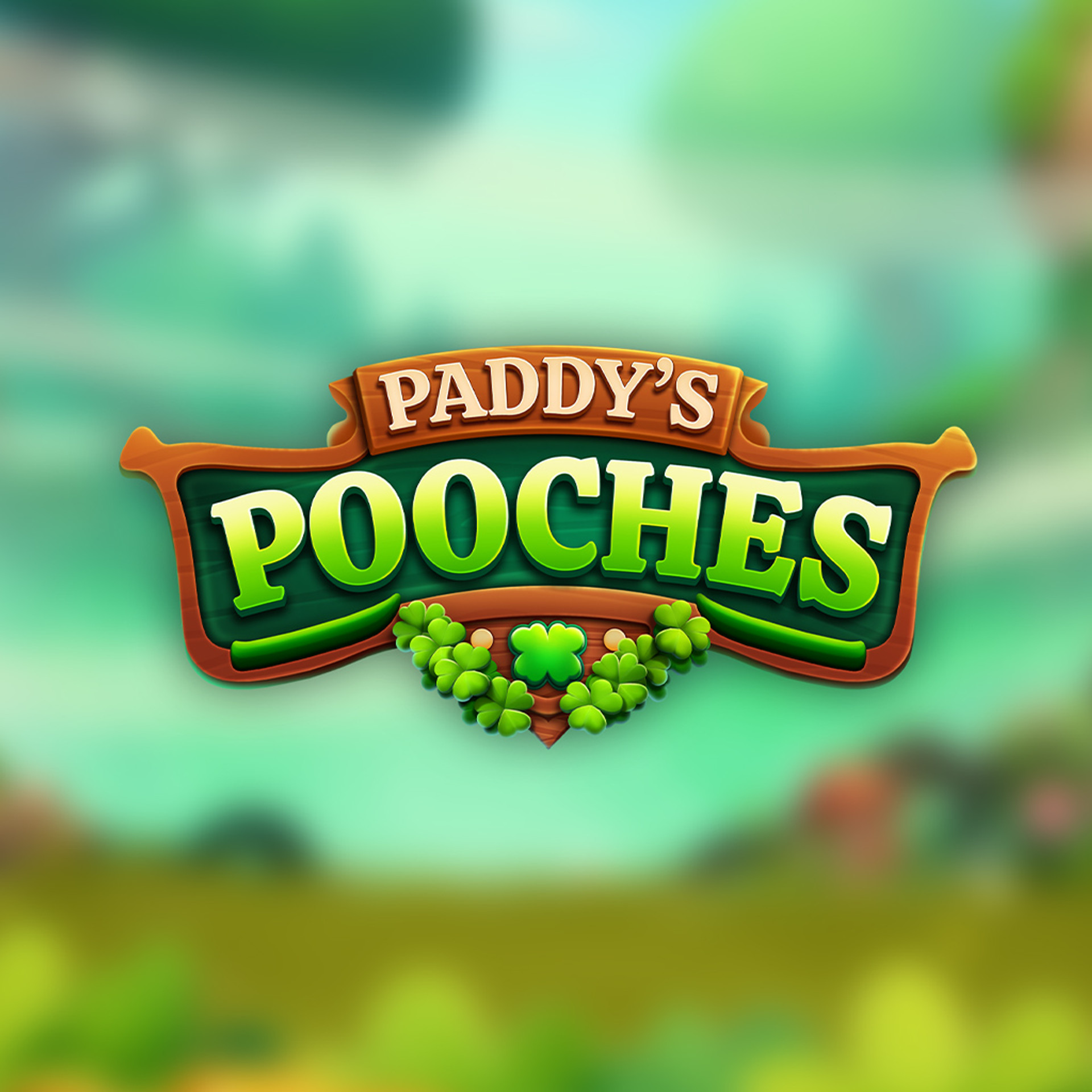 Paddy's Pooches