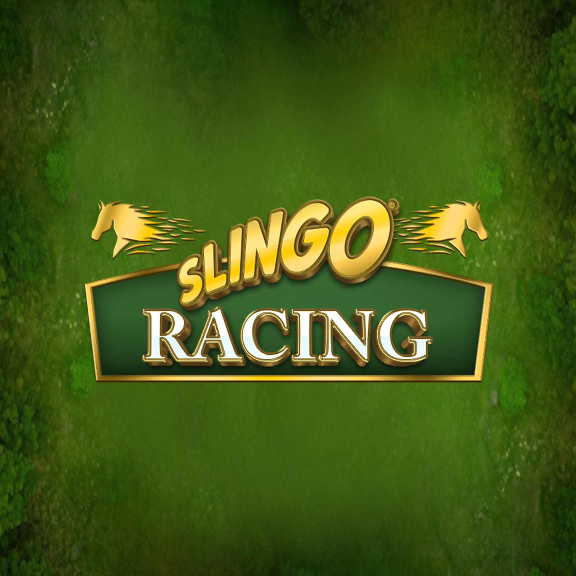 Slingo Racing