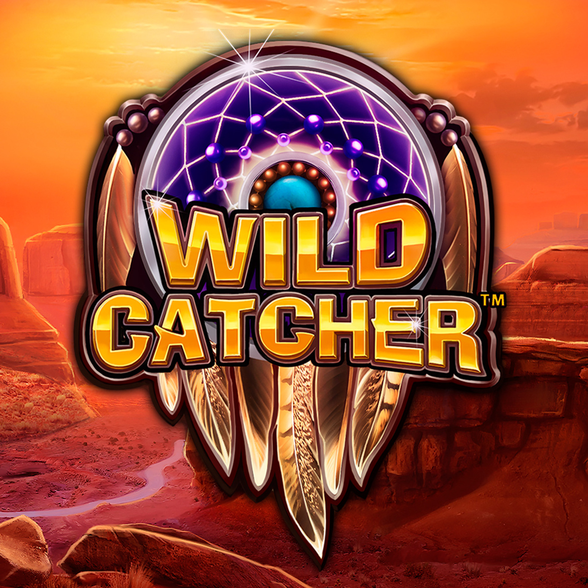 Wild Catcher