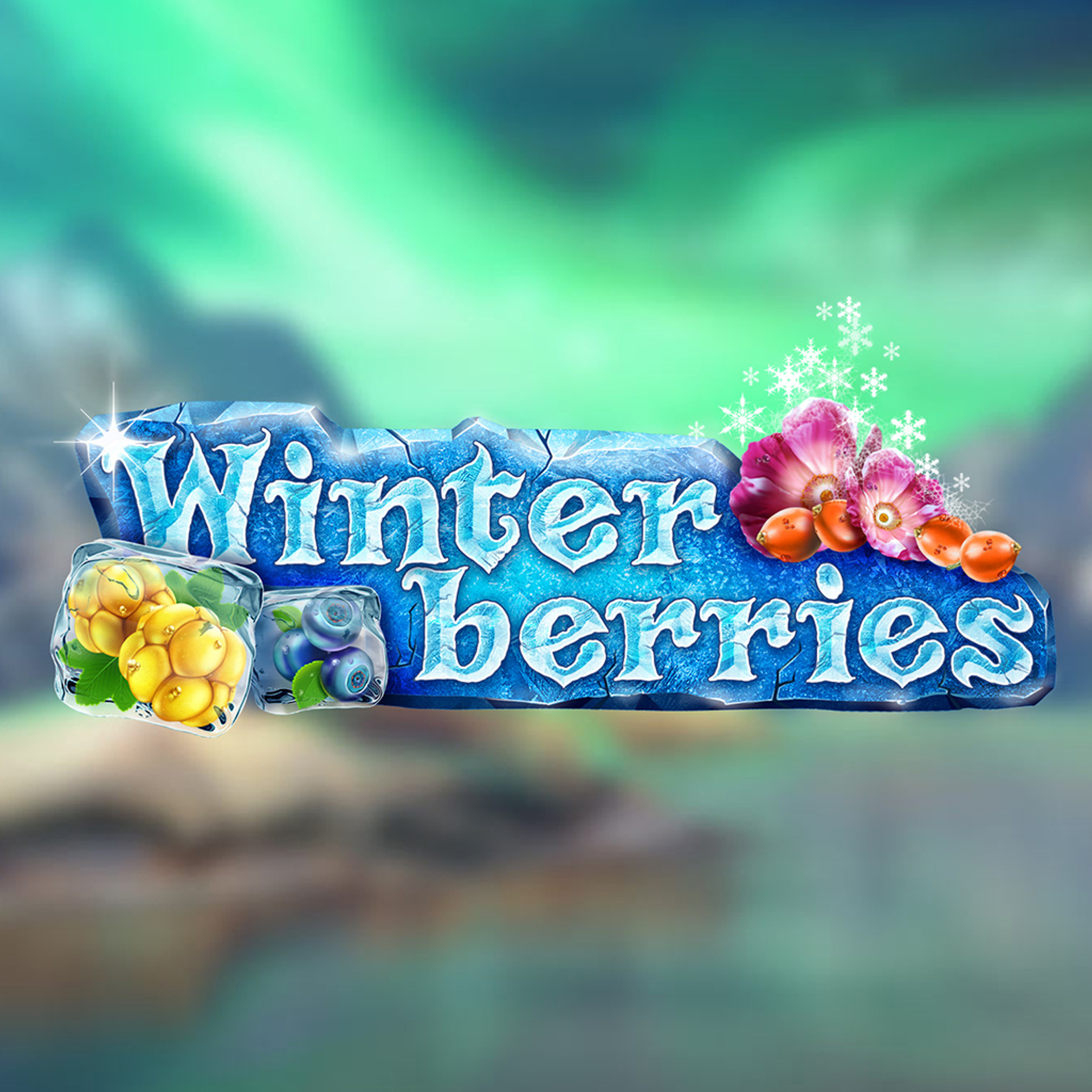 Winterberries